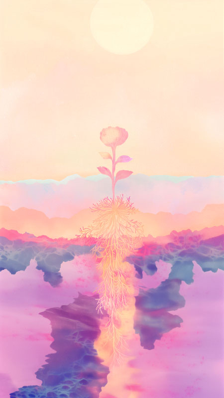 N様